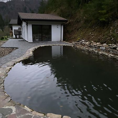 Котедж Грабовець Mizhhirya (Transcarpathia) Eksteriør billede