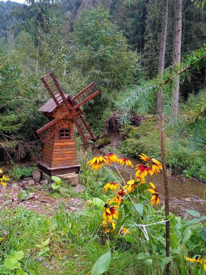 Котедж Грабовець Mizhhirya (Transcarpathia) Eksteriør billede