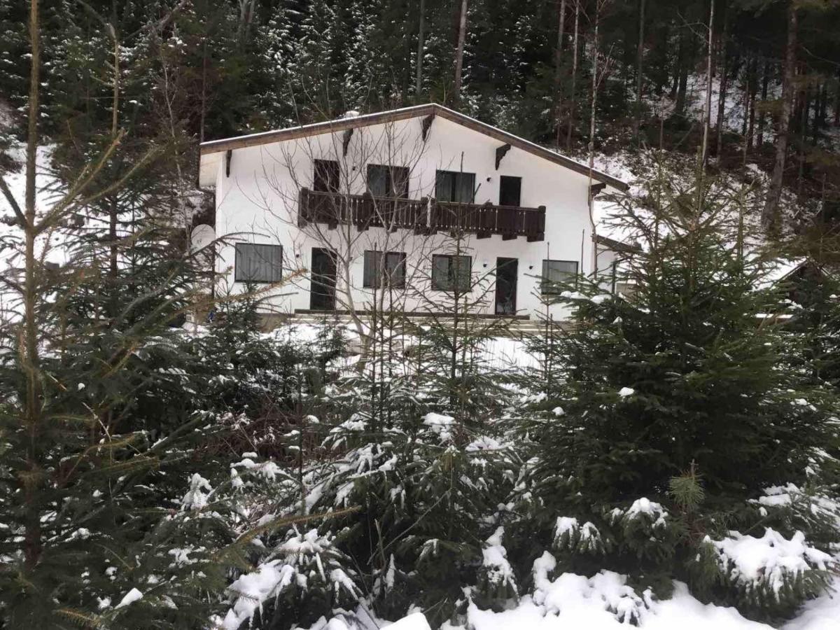 Котедж Грабовець Mizhhirya (Transcarpathia) Eksteriør billede
