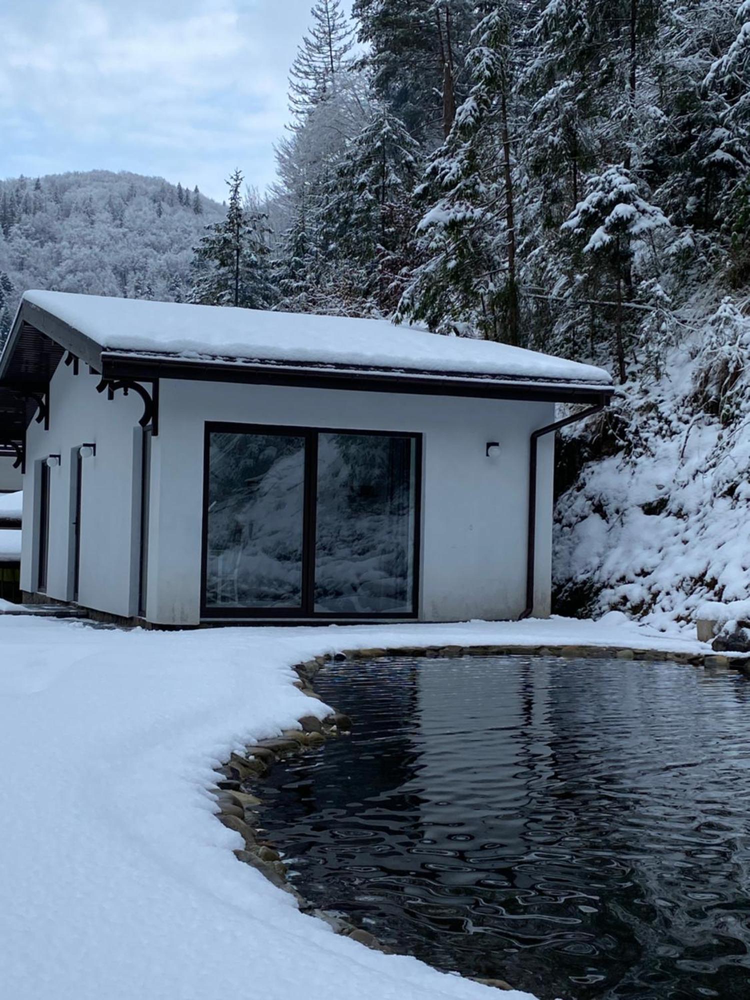 Cottage house Mizhhirya  Eksteriør billede