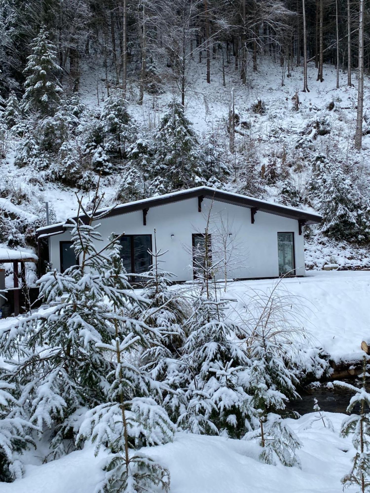 Cottage house Mizhhirya  Eksteriør billede