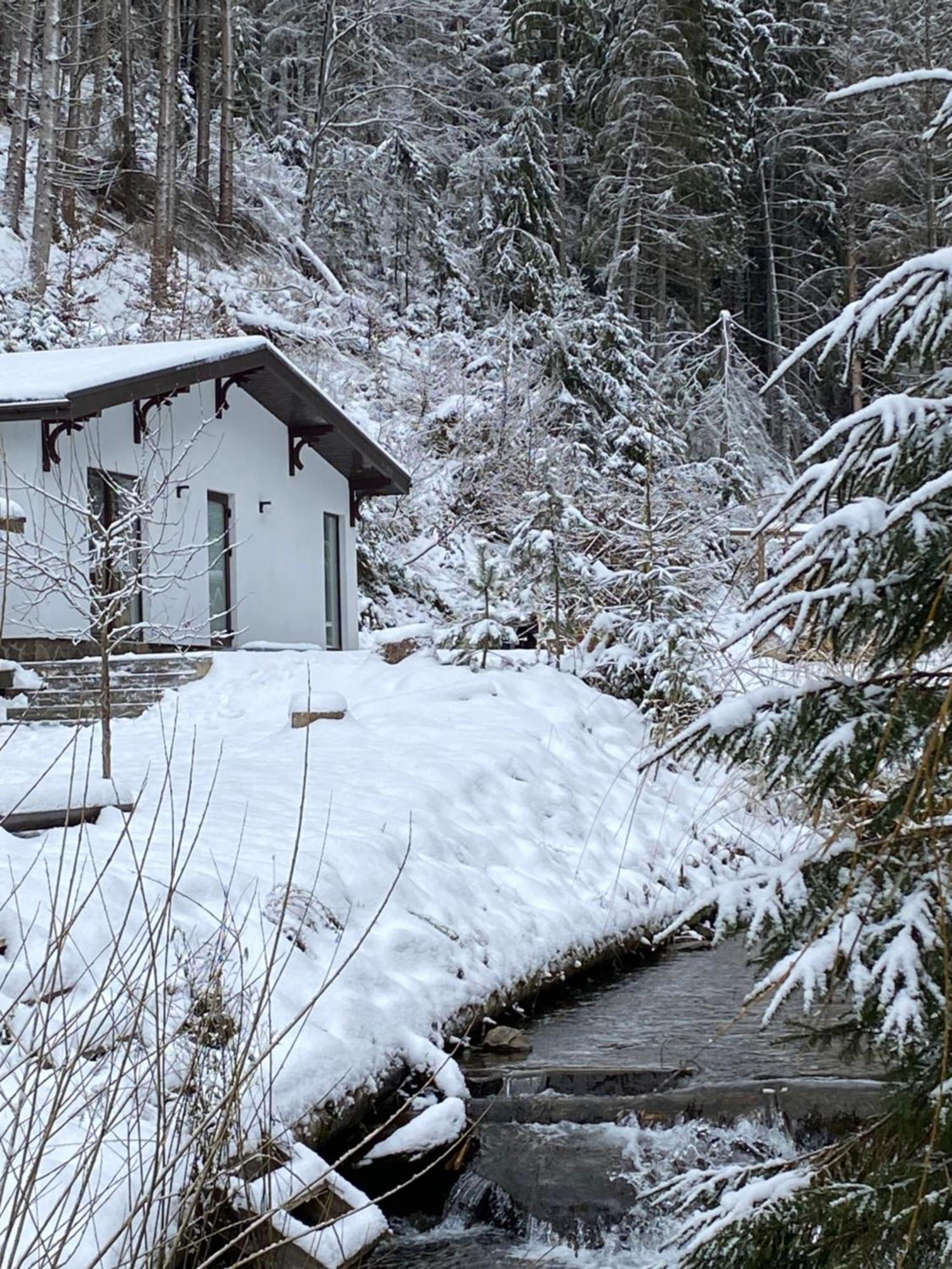 Cottage house Mizhhirya  Eksteriør billede